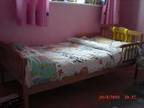 BOOTS SAPLINGS Junior Bed with mattress included.....